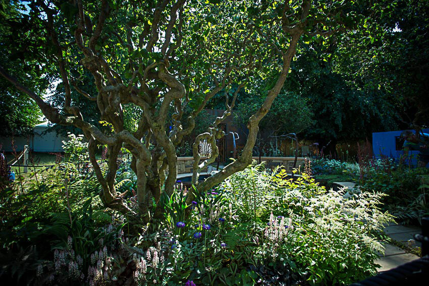 creating-a-show-garden-01