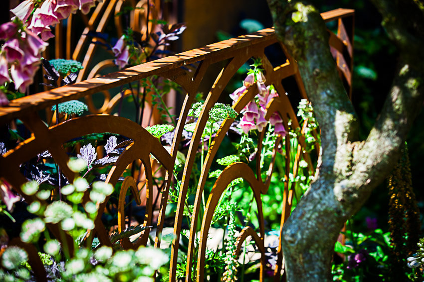 creating-a-show-garden-02