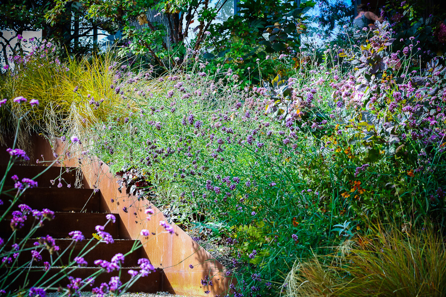 deciding-the-best-plants-for-your-garden-02 deciding-the-best-plants-for-your-garden-02