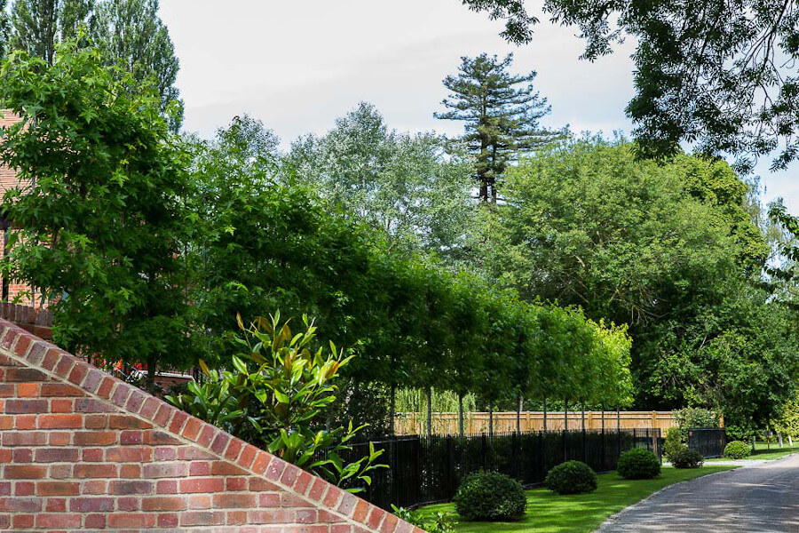 deciding-the-best-plants-for-your-garden-05 deciding-the-best-plants-for-your-garden-05