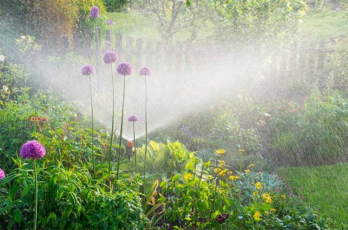 Automatic-Sprinkler-Watering Automatic sprinker watering a garden