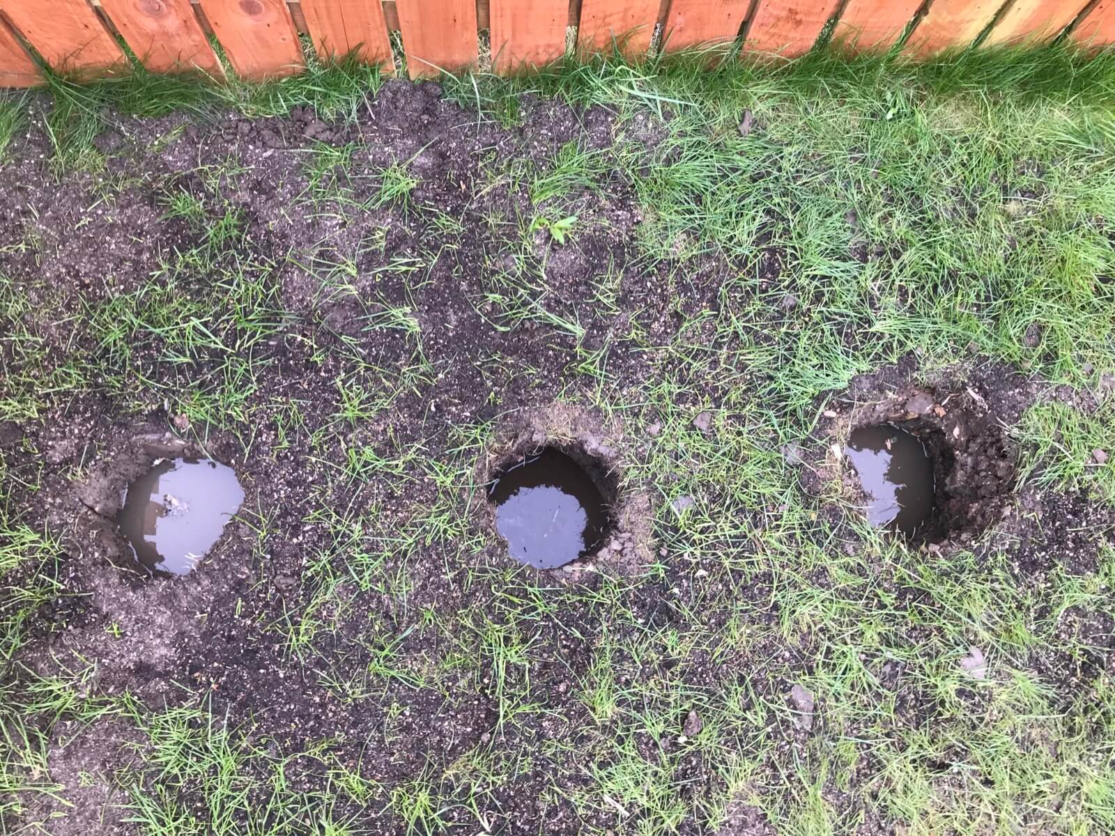 EA250331-C6EC-4CC2-BC00-E6B66B537B93 Drainage problem in garden