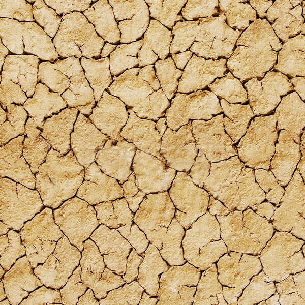 Cracked mud concept image Cracked mud