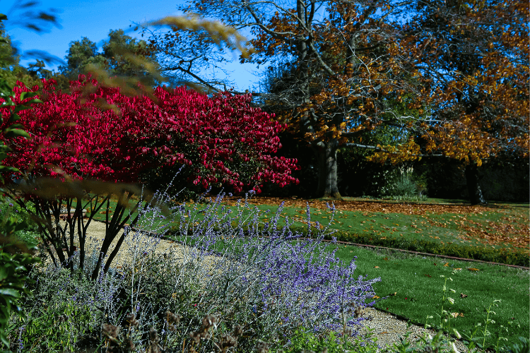 colourful garden colourful garden