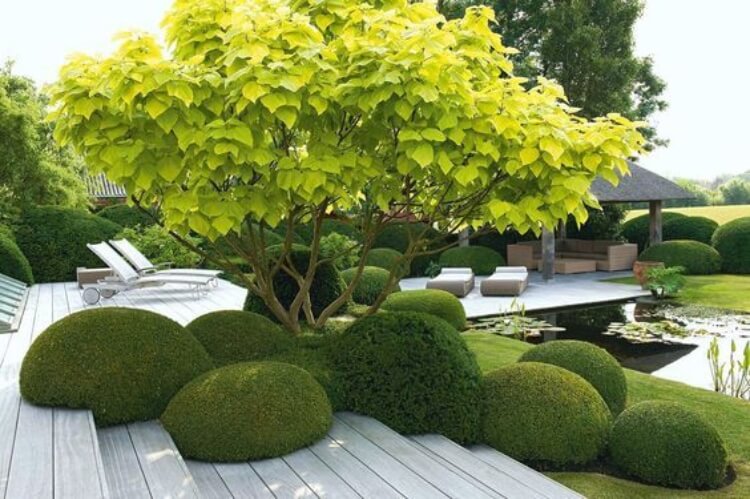 Stijn Cornilly garden