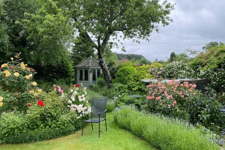 lush garden with colorful rose bushes and a summerhouse in the background