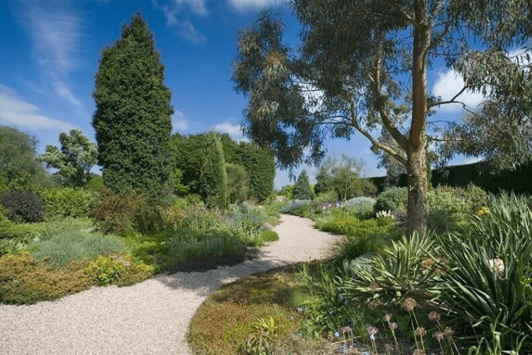 gravel path snaking through a garden with densely planted borders