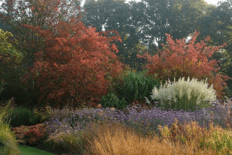 knoll gardens spring garden inspiration mown path through meadow