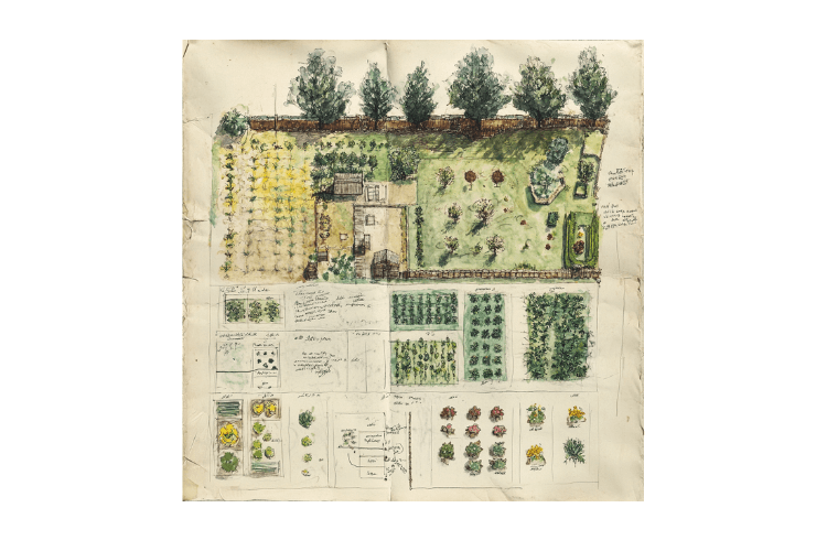 spring garden inspiration mown path through meadow