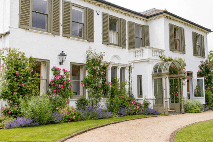 white house with shutters and colorful climbing plants