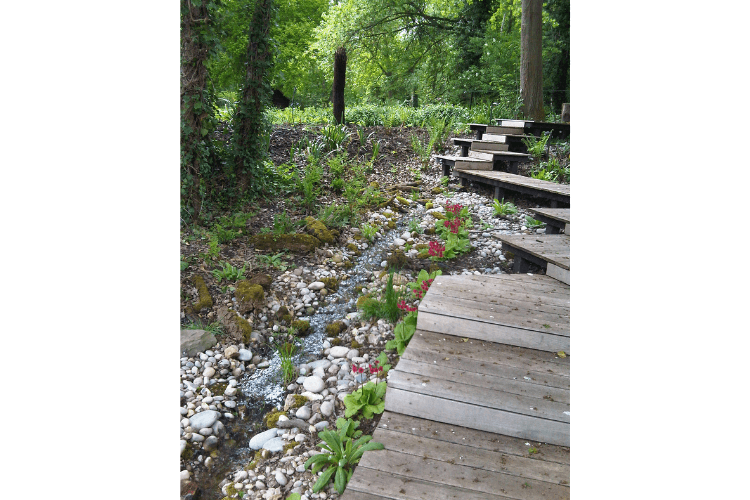 Untitled design (18) spring garden inspiration mown path through meadow