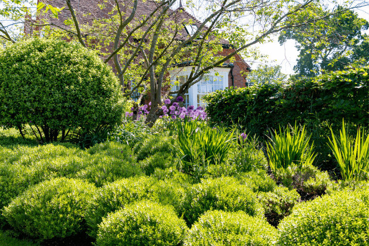 spring garden inspiration for hedgerows
