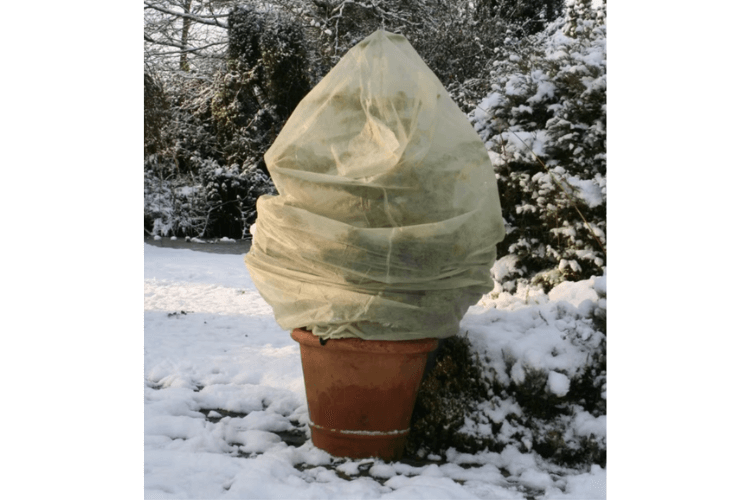 spring garden inspiration for hedgerows