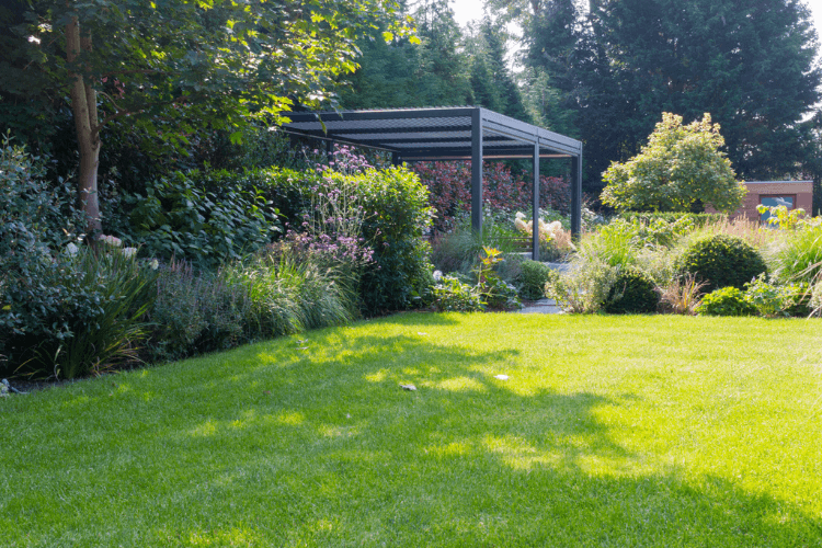 spring garden inspiration for hedgerows