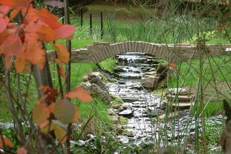 spring garden inspiration for hedgerows