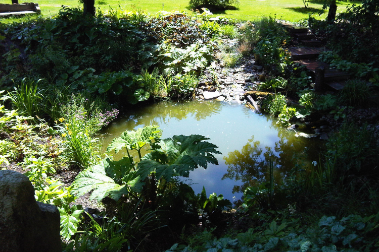 spring garden inspiration for hedgerows