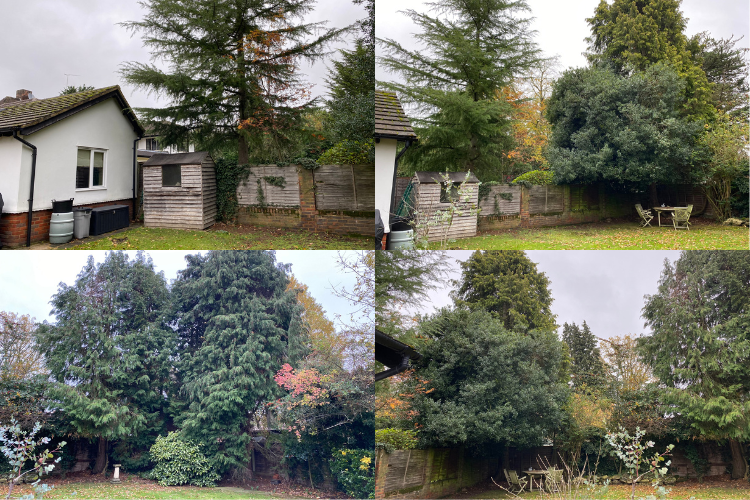 before garden renovation