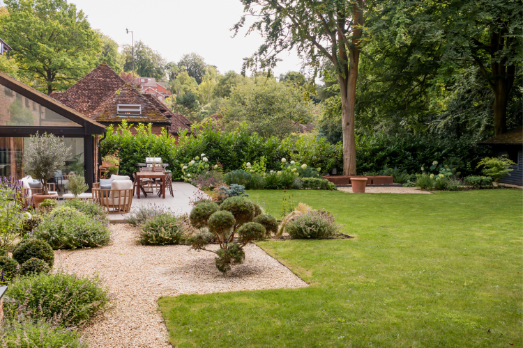 lush planting in garden