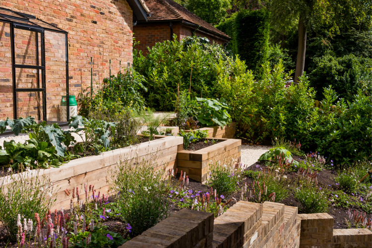 vegetable area and tiny greenhouse