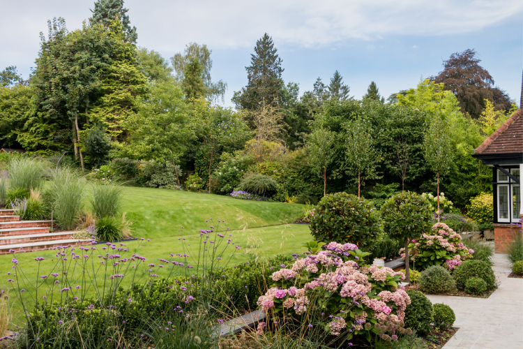 evergreen shapes and grasses