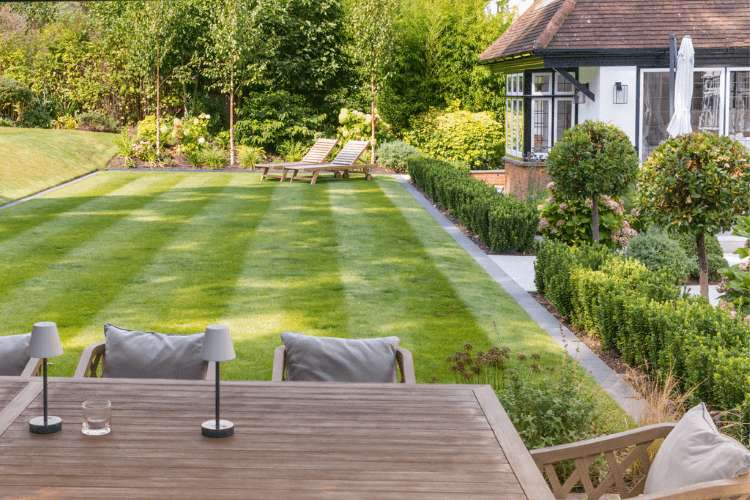 spring garden inspiration for hedgerows