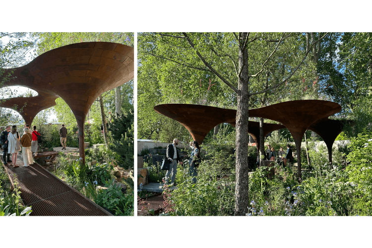 Water Aid Garden spring garden inspiration for hedgerows