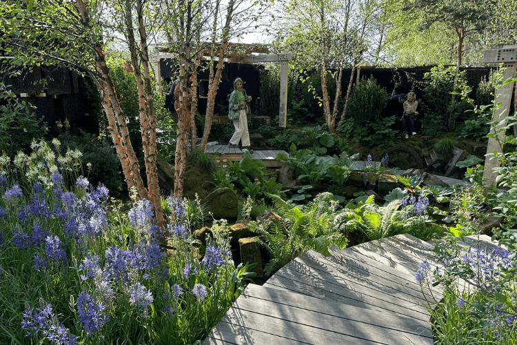 National Autistic Society Garden spring garden inspiration for hedgerows
