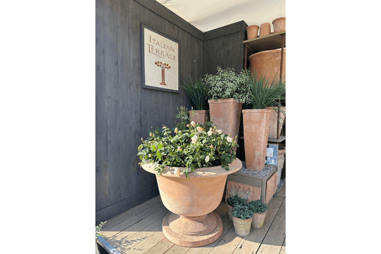Italian Terrace pots spring garden inspiration for hedgerows