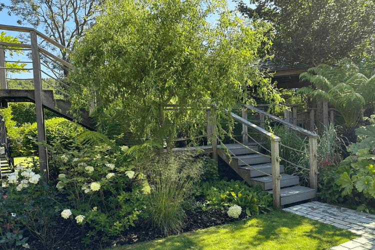 shaded walkway spring garden inspiration for hedgerows