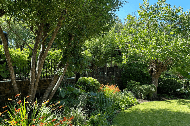 shady border spring garden inspiration for hedgerows