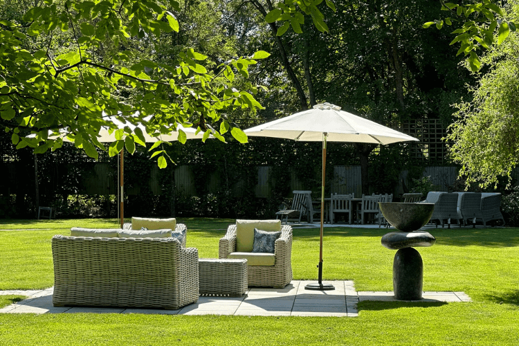 trees creating shade for seating spring garden inspiration for hedgerows