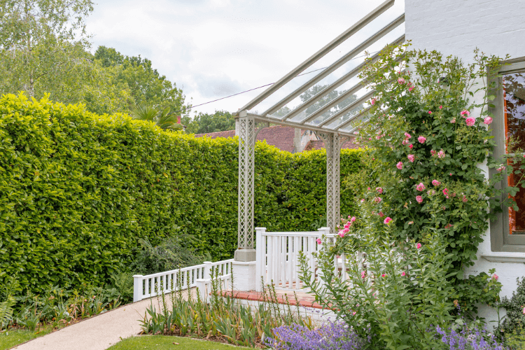spring garden inspiration for hedgerows