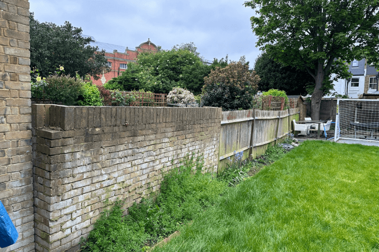 bare wall before planting spring garden inspiration for hedgerows