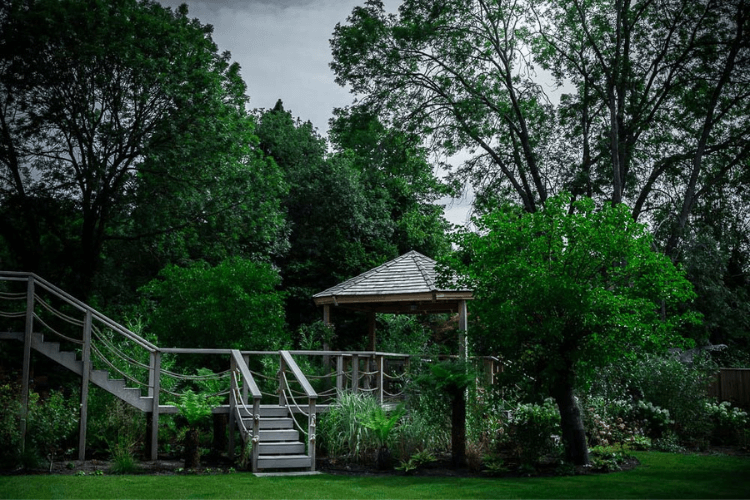 large trees for screening spring garden inspiration for hedgerows