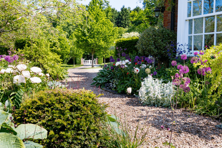 formal driveway in country house with beautiful planting