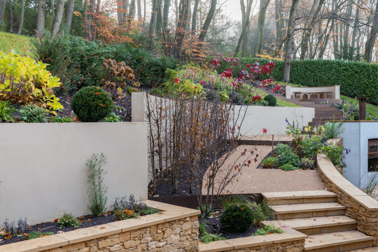 steep garden with steps and planting