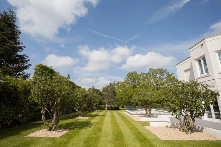 perfectly mowed lawn